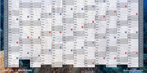 Dive calendar meeting