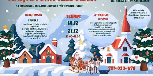 \u015awi\u0105teczna Niedziela na rodzinnej uprawie choinek "\u015awierkowe Pole"