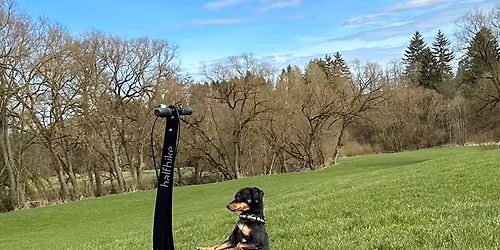 Halfbike MeetUp '26 Berlin 
