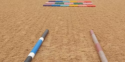 \ud83c\udf1f \ud83e\udd84DRESSAGE WITH POLES CLINIC ~ BCA\ud83e\udd84 \ud83c\udf1f 