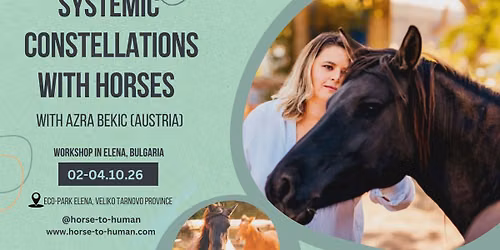 Systemic Constellations with Horses - Bulgaria