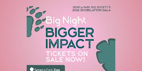 Zoobilation 