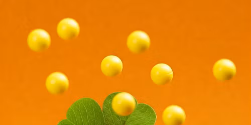 Spring Break Nerf Wars