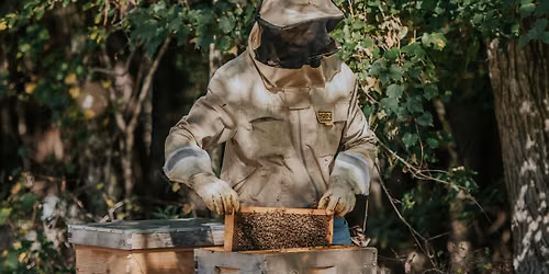 Intro to Beekeeping