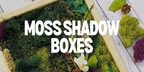 Moss Shadow Boxes w\/ Mads of all Trades