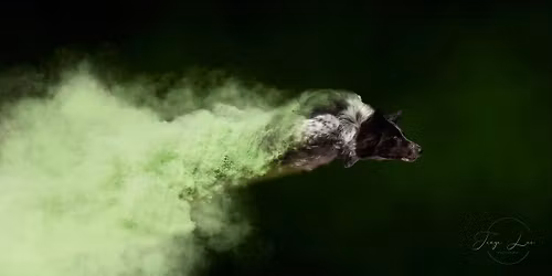 January 2-4, 2026 MDS NADAC Trial