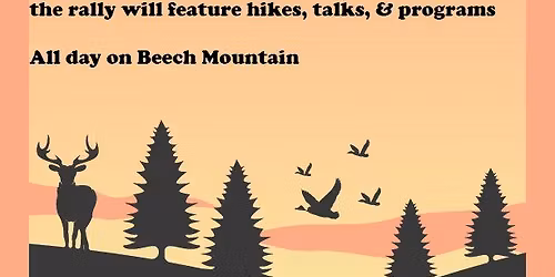 Town of Beech Mountain Nature Rally