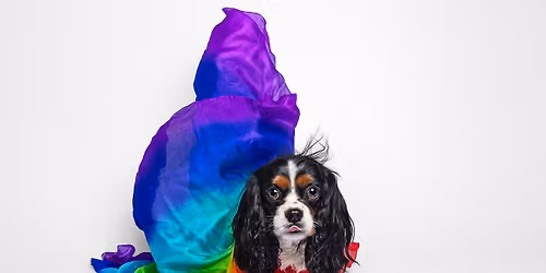 Pupstate Pride Mini Sessions