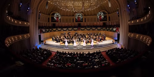 Parking Salute To Vienna - San Diego