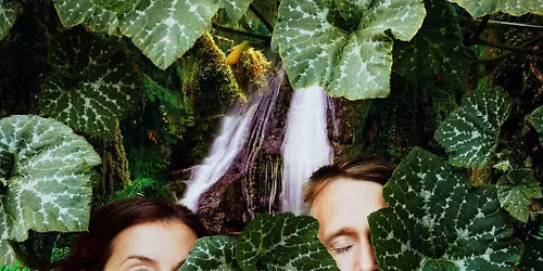 An Evening with The Forcefields