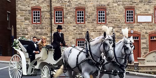 CHRISTMAS Vis-a-Vis CARRIAGE RIDES in Downtown Bethlehem, Pa