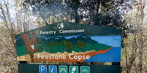 Ry's Big Social Meet #105