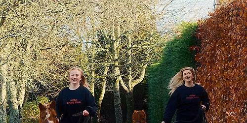 Petting Ponies & Crafts