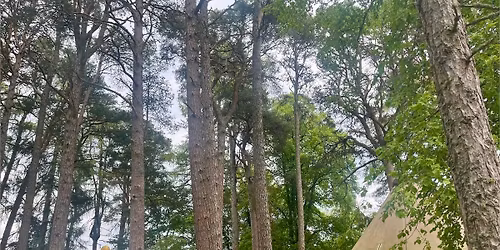 Spring Forward - Connect and Revitalise Mini Retreat