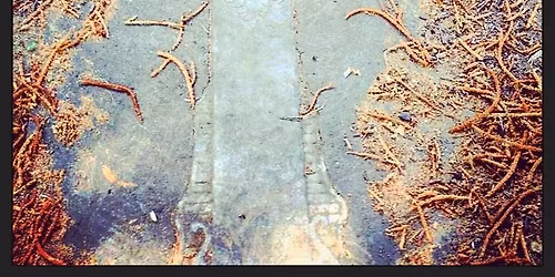 Guided Tour: Women from Lone Fir Cemetery\u2019s First 100 Years