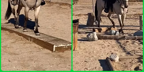 Raven Ridge Ranch Obstacle Challenge