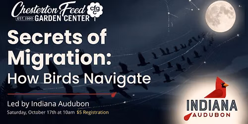 Secrets of Migration: How birds Navigate