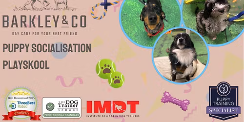 Puppy Playskool - Saturday Socials \u2728