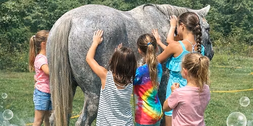 Little Ranchers Pony Spa Day