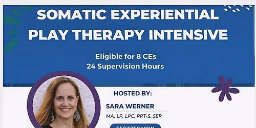 Somatic Experiential Play Therapy Intensive Training \u2014 Somatic Experiential Play Therapy