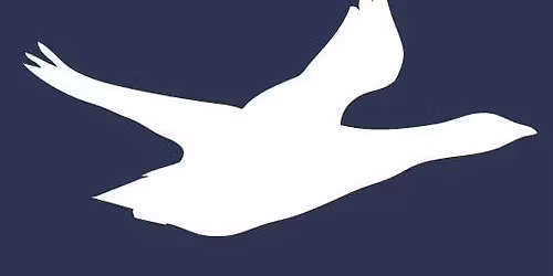 The Saltmarsh Half Marathon