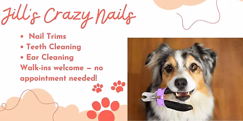 Jill's Crazy Nails-10