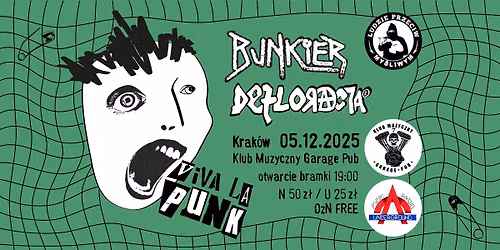 Punk Koncert