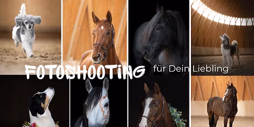 Fotoshooting - bei uns in einer wundersch\u00f6nen Location!