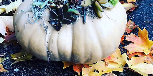 Thanksgiving Succulent Pumpkin Wokshop