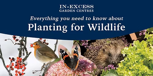 Planting for Wildlife @ West Parley Garden Centre