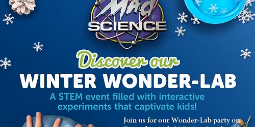 Winter Wonder Lab Party