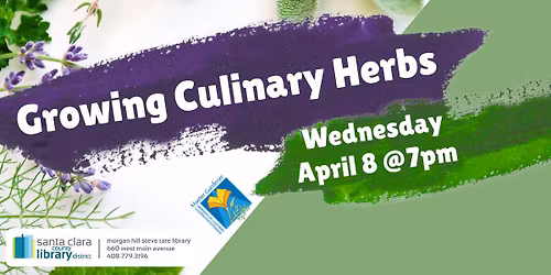 Growing Culinary Herbs