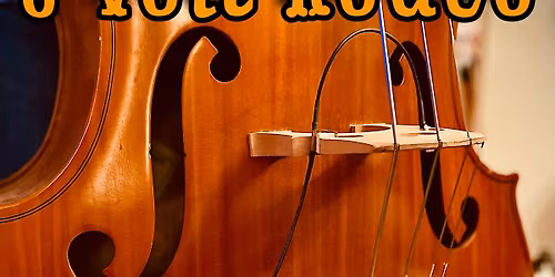 6 Volt Rodeo at the St. Pete Saturday Morning Market