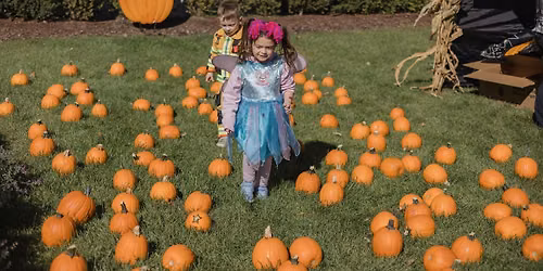 Halloween Spooktacular