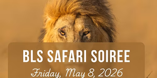 Safari Soiree