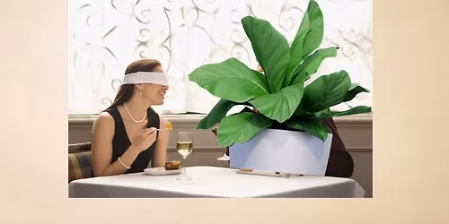 Blind Date with a Plant