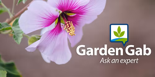 Garden Gab: Ask an expert