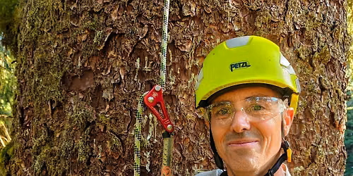 Mature Fruit Tree Restoration and Enhancement