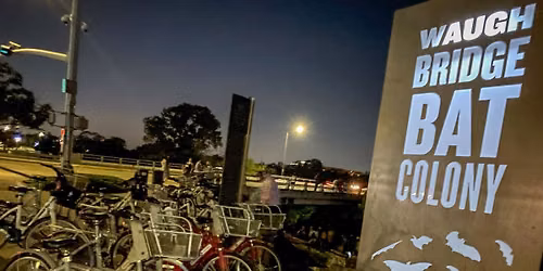 Bikes & Bats
