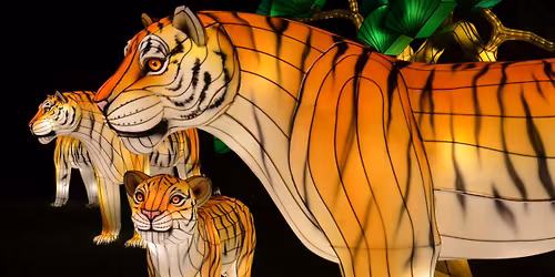 Gather & Glow featuring IllumiNights