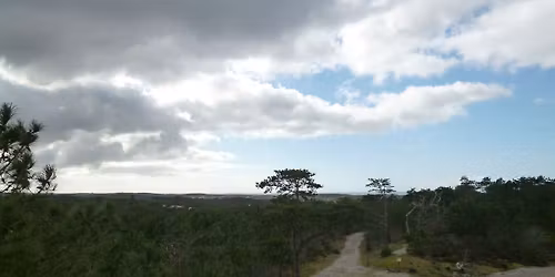 Rondje Schoorl 15\/19km