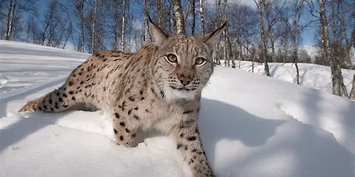 At The Edge with Peter Cairns