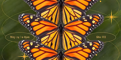 Butterfly Pinning Workshop