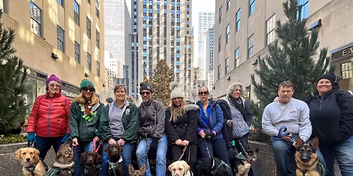 Caring eyes holiday nyc trip