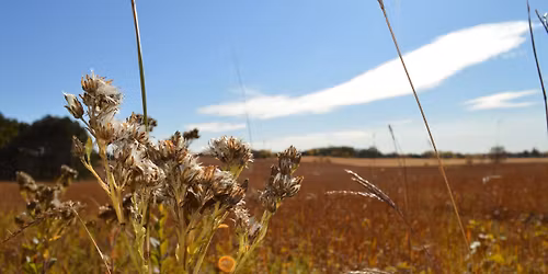 Prairie Love, featuring Alex Bouthilet, Seed Farm Manager (USFWS)
