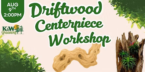 Driftwood centerpiece workshop