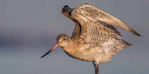 Erskine Lake - morning excursion