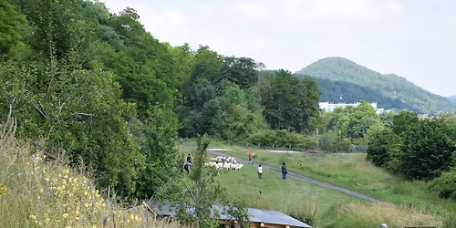 Balade des Coteaux avec 2 guides Nature et Ornitho 