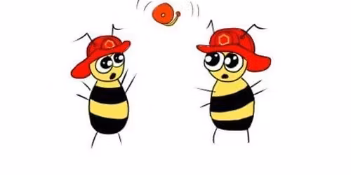 Possum Valley bushfire ready busy bee