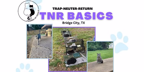 FREE TNR Basics Class